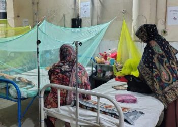 Dengue situation worsens in Rajbari, municipal authorities indifferent to mosquito control