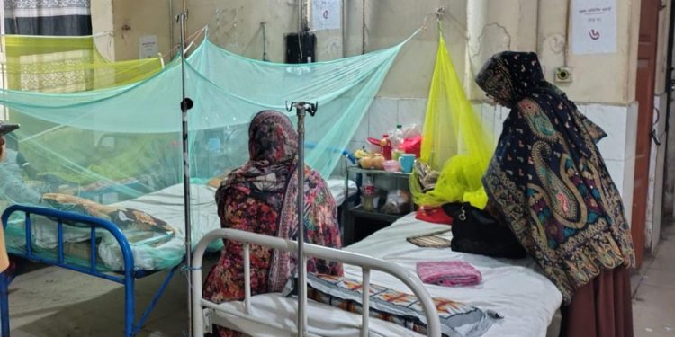 Dengue situation worsens in Rajbari, municipal authorities indifferent to mosquito control