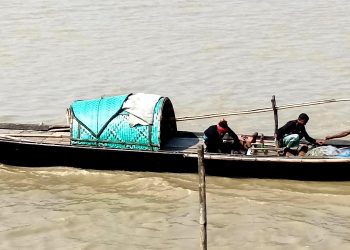 Fishermen, burdened by loans from moneylenders and NGOs, are not stopping the killing of ‘Mother Hilsha’ fish in the Padma River of Bangladesh