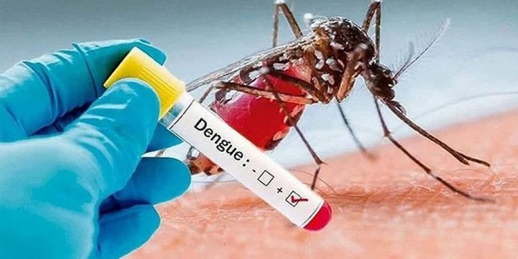 5 more people die of dengue in Bangladesh