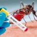 5 more people die of dengue in Bangladesh