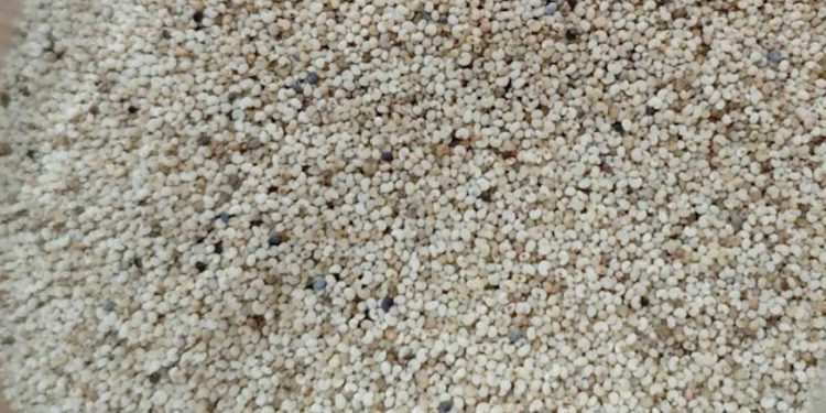 Bird food scam: 25,000 kg poppy seed drugs brought to Bangladesh from Pakistan