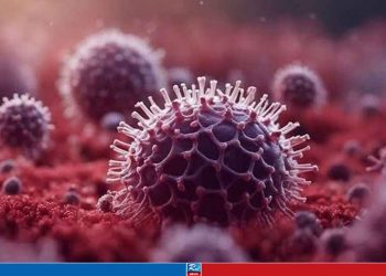 Dangerous Nipah virus detected in 35 districts in Bangladesh, IEDCR warns