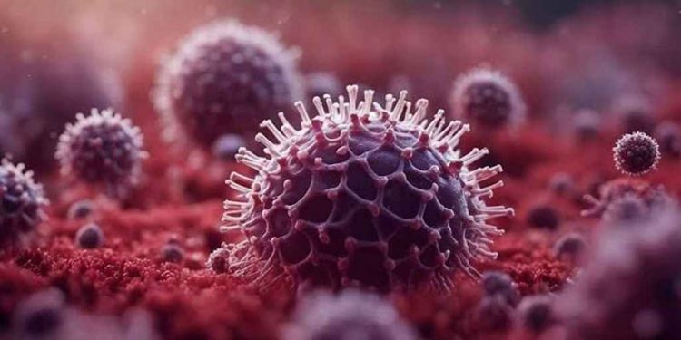 Dangerous Nipah virus detected in 35 districts in Bangladesh, IEDCR warns