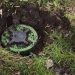 Landmine explosion kills 3 Chakma workers in Bandarban’s Naikshongchhari