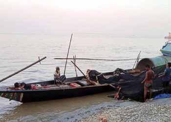 Diplomatic tensions and emotions of the two Bengals Large hilsa fish are decreasing in the Padma, will the ice melt even if visas are introduced?
