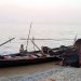 Diplomatic tensions and emotions of the two Bengals Large hilsa fish are decreasing in the Padma, will the ice melt even if visas are introduced?