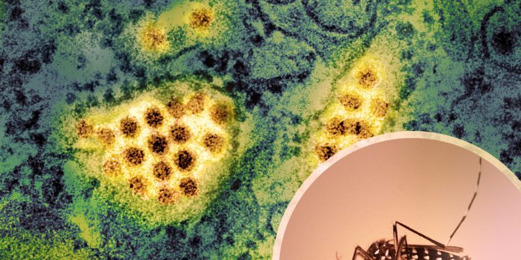 Dengue cases surge to record 2,158 in a day, six more die