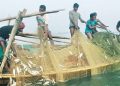 Will Bangladeshi hilsa be available to the people of West Bengal during Durga Puja?