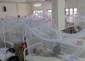 10 people died of dengue in Bangladesh in the last 24 hours