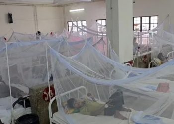 10 people died of dengue in Bangladesh in the last 24 hours