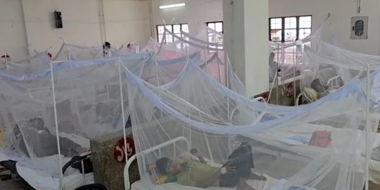 10 people died of dengue in Bangladesh in the last 24 hours
