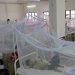 10 people died of dengue in Bangladesh in the last 24 hours