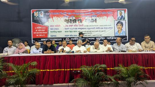 Achieved democracy must be transformed into an effective parliament: Zahir Uddin Swapan